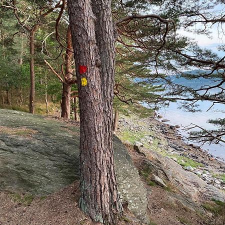Cottage - Majviken Ljungskile Ngoại thất bức ảnh